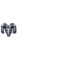 RAM